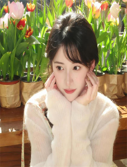 《豚鼠纪实》观看手册：欣赏艺术表现与美学价值 丰富文化知识的实用方法